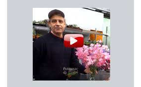 When does the home depot memorial day sale start? Sweet Peas Wholesale Flowers