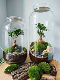 Epingle Par Eli Garcia Sanchez Sur Terrario En 2020 Jardin Zen Interieur Jardin Bocal Terrarium