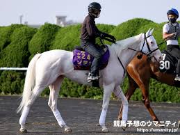 札幌記念 2021 枠順確定 2021年 8月22日 (日) 2回札幌4日目 13頭 15:45発走 【１１ｒ】 第57回札幌記念 ３歳以上・オープン・ｇ２ (定量) (国際) (特指) 芝2000m (a) Aj29frysr3ohfm