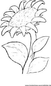 Ausmalbild Sonnenblume Flower Coloring Blumen Ausmalen