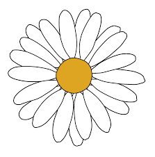 Black And White Daisy Flower Clipart Daisy Sticker By Ameniij White 3 X3 In 2020 Daisy Art Daisy Drawing Flower Pattern Drawing