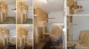 Es gibt theoretisch unzählige varianten der ausstattung, von drei einfachen an der wand befestigten brettern bis hin zur umfangreichen kletterlandschaft mit etlichen verschiedenen bausteinen. Wandkratzbaume Selbst Bauen Kletterspass Fur Katzen