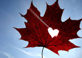 Kết quả hình ảnh cho nợ tình