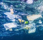 Deniz Plastik Kirliliği: Büyüyen Küresel Bir Endişe - Beston ...