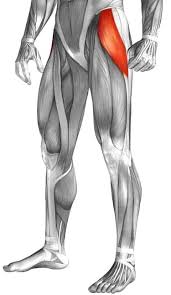 Pin On Sequoyah Chiropractic Exercises