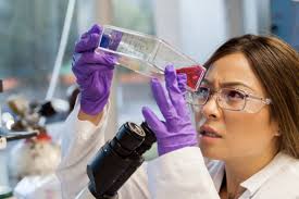 Himedia offers a broad range of classical media, balanced salt solutions, reagents, sera, consumables and plasticware and chemicals and biochemicals required for cell culture. Cell Culture Troubleshooting