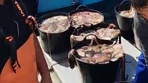 Suruba depois da colégio com colegas CNN Amador