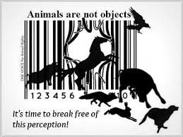 Animals Are Not Objects It S Time To Break Free Of The Perception Bar Code Animal Rights Bird R Derechos De Los Animales Cuidado De Los Animales Animales