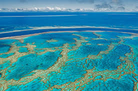 Unesco has recommended the great barrier reef be placed on a list of 'in danger' world heritage sites, a move opposed by the australian government. Great Barrier Reef Geo