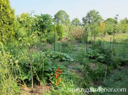 It teaches you how to look at things and assess opportunities. Permaculture Principles A Few Tips For Your Garden