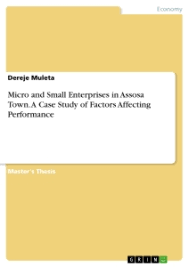 An overview of small and medium enterprises in malaysia and pakistan: Micro And Small Enterprises In Assosa Town Grin