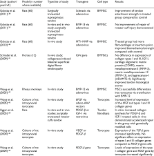 Animal models for cell therapies. Animal Models Using Cell Therapy And Growth Factors Download Table