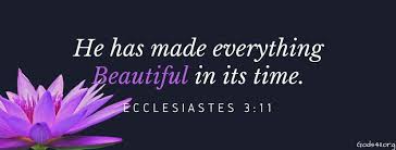 Ecclesiastes 3:11 | Christian Facebook Cover (With images ...