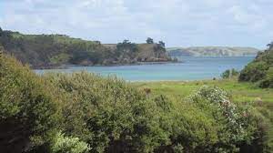 Owhanake bay is situated northwest of oneroa. Our Room Picture Of Owhanake Bay Estate Waiheke Island Tripadvisor