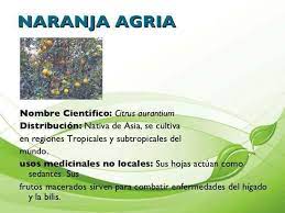 Pin By Myriam Valdivieso On Vida Saludable Farmacia Natural Pie Chart Chart