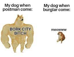 30 Of The Most Savage Yet Somewhat Accurate Then Vs Now Doge Memes Me Too Meme Funny Memes Haha Funny