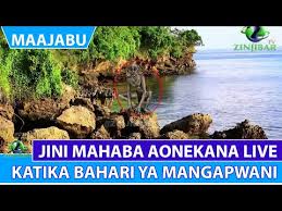 Jinsi ya kujipatia usingizi mzuri. Download Vidio Ya Jini Mwanamke 3gp Mp4 Codedwap