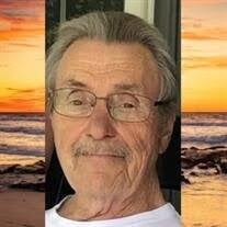 David W. Alcott Jr. Obituary