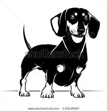 Black And White Dachshund Face Clipart Therocketbaby S Portfolio On Shutterstock Dachshund Silhouette Dachshund Art Dachshund Dog