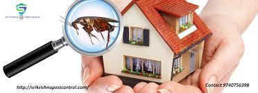 Bedbugpestcontrolservicesinwhitefield Cockroachcontrolservicesinwhitefield Contact 9740756398 Termite Control Insect Control Pest Control
