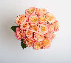 Free flower delivery by top ranked local florist in burlington, vt! Best Florists Flower Delivery In Casper Wy 2021