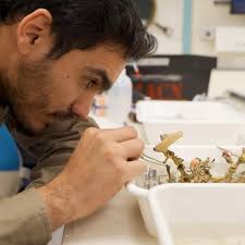 Leonel Pacheco (@leobivalvo) • Instagram photos and videos