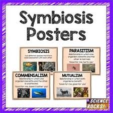 Symbiosis Posters Science Lessons Symbiosis Interactive Science Notebook