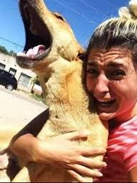 pour les amis des animaux