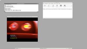 How To Put Games In A Dolphin Emulator - Quora