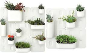 Plantas frente a ventana con luz solar. Decorar Con Plantas La Pared De Tu Casa Blog Iluminacion Y Lamparas Pasion Por La Luz Lamparasmarket