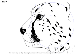 This instruction will be traditionally very simple, and the team оф easydrawingart.com is confident that even the most inexperienced artist will be able to draw a cheetah. Learn How To Draw A Cheetah S Head Big Cats Step By Step Drawing Tutorials