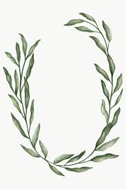 Download Premium Png Of Minimal Leaves Frame Transparent Png 2032872 Green Leaf Background Flower Illustration Leaf Background