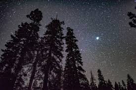 Esto es todo de este bonita publicación de fondo de celular gratis para. Fondos De Pantalla Silueta Imagenes Hd Silueta Descargar Imagenes Gratis