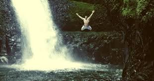 Flying Squirrel Flickr12days Oregon Waterfalls Oneonta Oregon