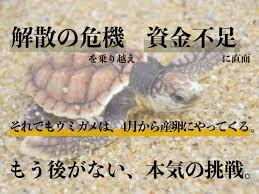 ウミガメ 屋久島へ上陸間近 産卵期の砂浜守り新たな命を大海へ 大牟田 一美 Npo法人屋久島うみがめ館 2019 02 21 公開 クラウドファンディング Readyfor レディーフォー