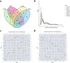 Image result for Eriosema rhynchosioides