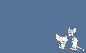 Check spelling or type a new query. Pinky And The Brain Wallpapers Top Free Pinky And The Brain Backgrounds Wallpaperaccess