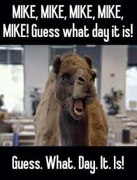 Geico hump day camel commercial happier than a camel on wednesday. Pin On Photos