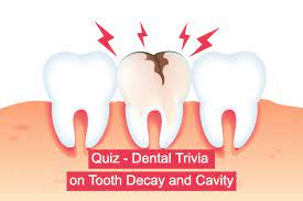 Florida maine shares a border only with new hamp. Quiz Dental Trivia On Tooth Decay And Cavity Stemjar