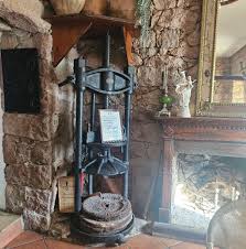 Image result for Usteria