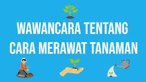 Tentang contoh kegiatan peduli lingkungan. Cara Merawat Tanaman Yang Baik Dan Benar Youtube