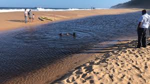 For more details on the new … Kwazulu Natal 13 Year Old Male Presumed Drowned In A Durban Lagoon