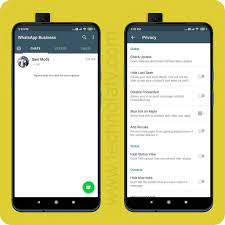 Tanto para los clientes que escriban como para los que descarguen el apk para configurar una cuenta para su negocio, dispondrán de una versión que en nada les . Download 2021 Edition Sam Whatsapp Business Mod 6 0 Technolaty