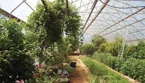 This Off Grid Kentucky Homestead Is An Amish Paradise Hobby Farms