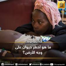 ما هو أخطر حيوان على وجه الأرض هل خطر في بالك ما هو الحيوان الذي يحصد أكبر عدد من الأرواح حسنا إنه ليس القرش على الرغم من سمعت tv incoming call