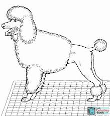 Poodle Coloring Page Free Printable Coloring Pages In Poodle Dog Coloring Pages 스케치