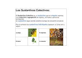 Un sustantivo colectivo es un nombre que le damos a un conjunto de cosas. Sustantivos Colectivos By Yossi Estrugo Issuu