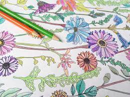Download Download The Creativelive Printable Coloring Book