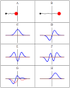 Quantum harmonic oscillator - Wikipedia