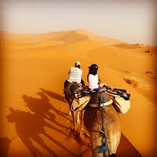 The presentation does an overview of building code on a use case for utilizing camel to process an order with an online restful servive api that takes an order with multiple. Camel Riding Tips For Desert Adventures And Dummies Parenting To Go Formerly Baby And Life